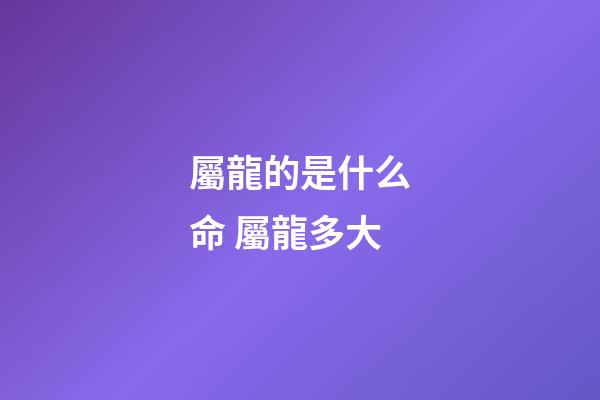 屬龍的是什么命 屬龍多大-第1張-觀點-玄機派